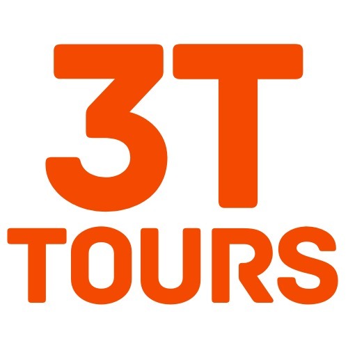 3T